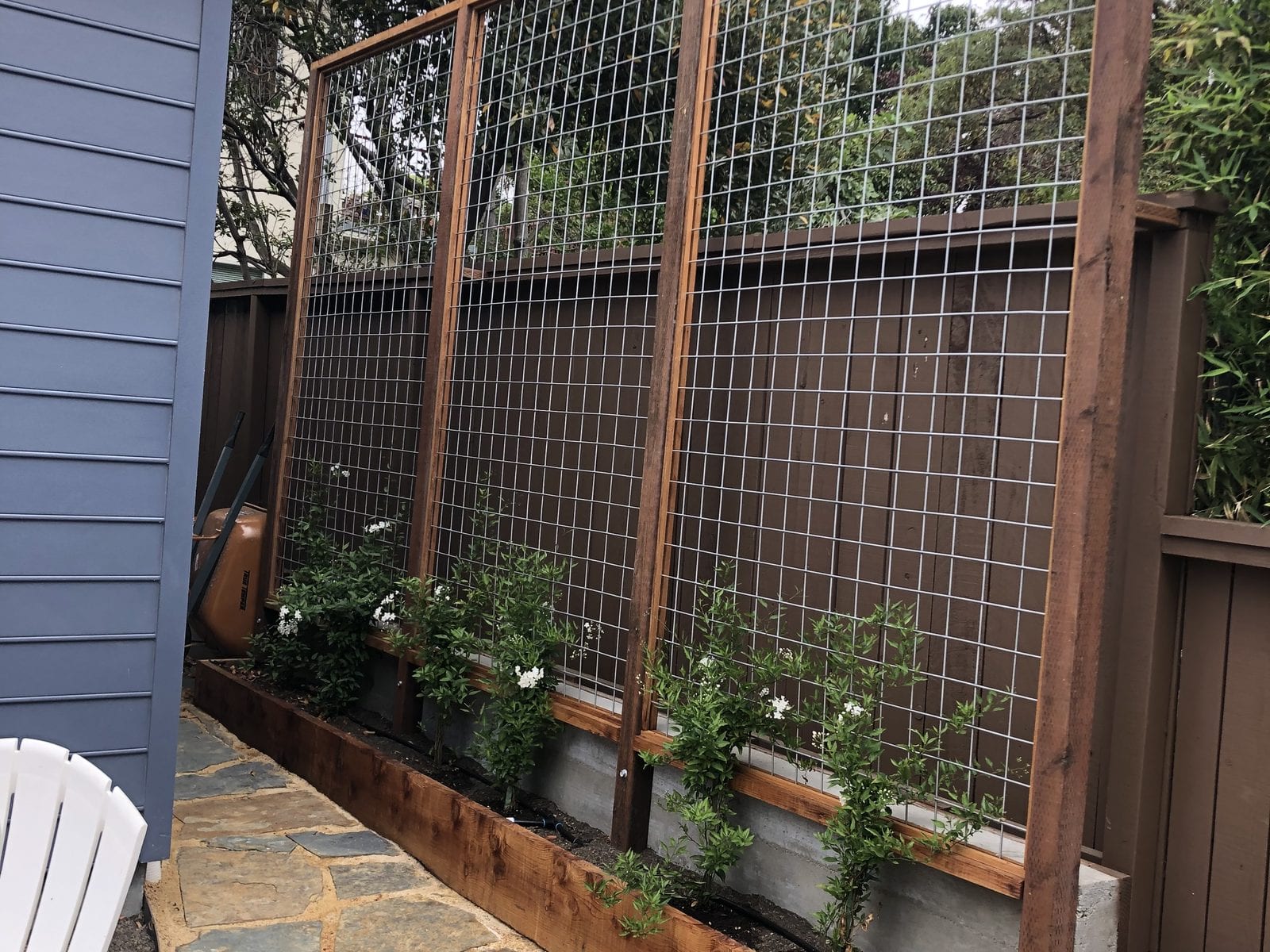 Three cedar-framed wire trellis panels above a built-in timber planter box of young climbing plants, set on a flagstone patio